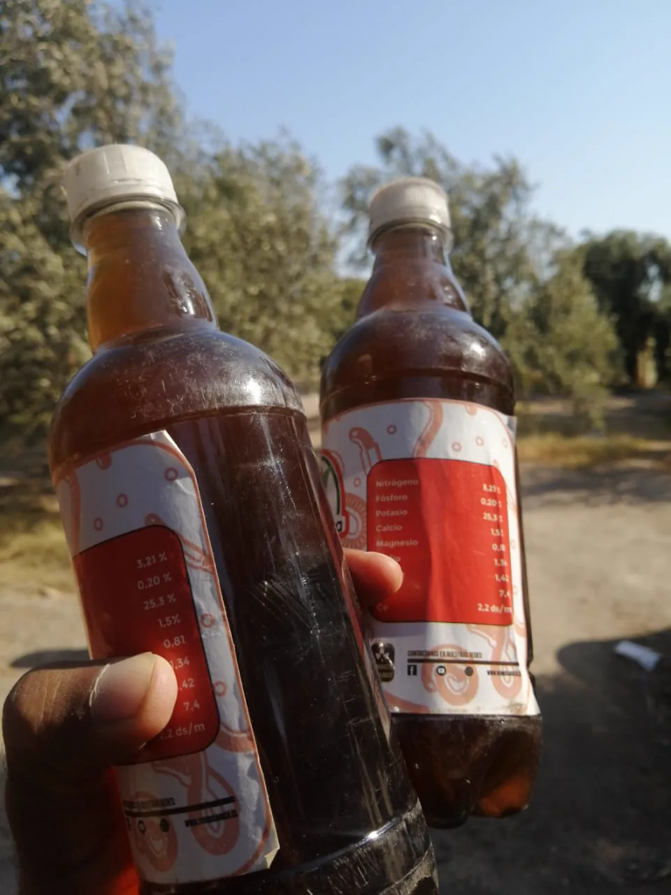 Botellas de humus líquido de 500 ml en el Valle de Azapa