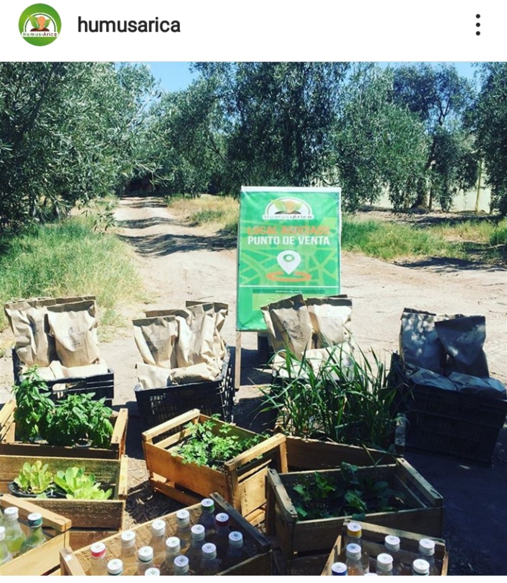Punto de venta y huerto de Humus Arica en el Valle de Azapa